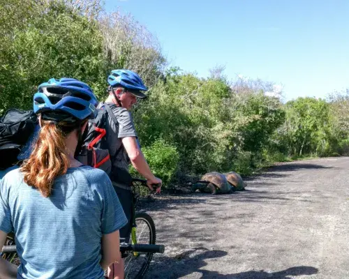 Custom Galápagos Islands tour tailored to travelers’ interests, schedule, and accessibility needs